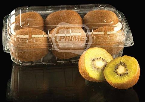Fruit Packaging Boxes