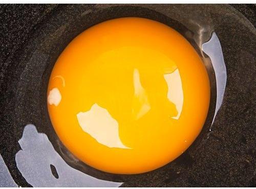 Indian Platinum Egg Powder, Color : Yellow