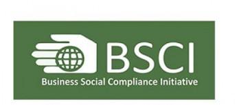 Business Social Compliance Initiative Services , BSCI  in Bhadohi