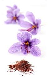 Saffron Type Perfumes