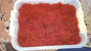 Afghan Saffron