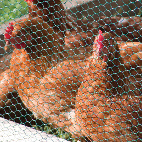 Poultry mesh