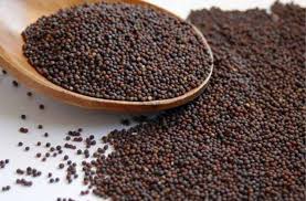 Mustard seeds, Packaging Type : Paper Bag, Plastic Bag, Pouches