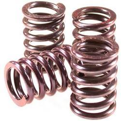 Stainless Steel Clutch Springs, Certification : ISI Certified