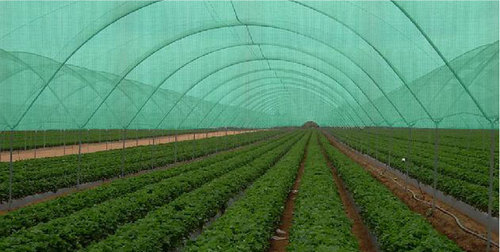 Plain Nylon Agriculture Shade Net, Feature : Superior Quality, Water Proof