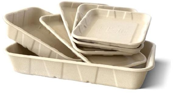 Molded Packaging Trays