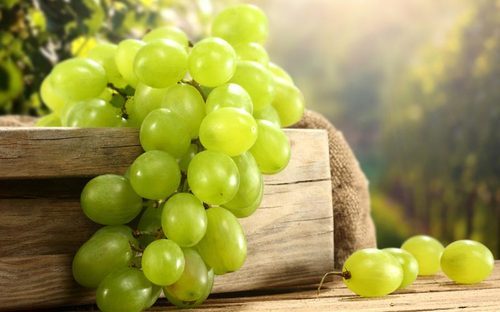 Organic fresh grapes, Packaging Size : 100-500 kg