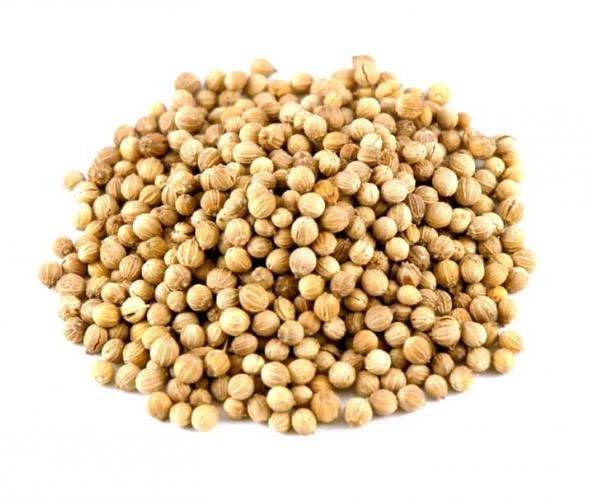 Natural coriander seeds, for Food, Packaging Type : Jute Bags