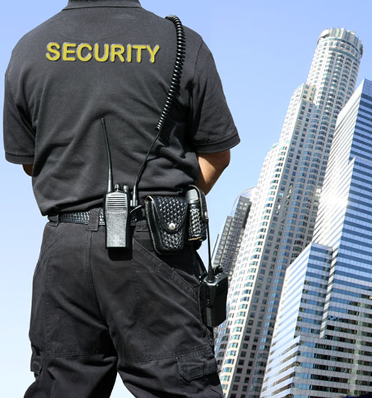 Services Security Guards Services From Hyderabad Telangana India By Vinisan Solutions Id