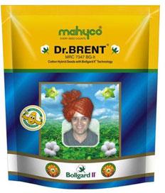 Dr.Brent (MRC 7347 BG II) Hybrid Cotton Seeds