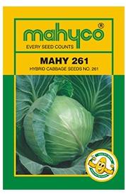 MAHY 261 Hybrid Cabbage Seeds