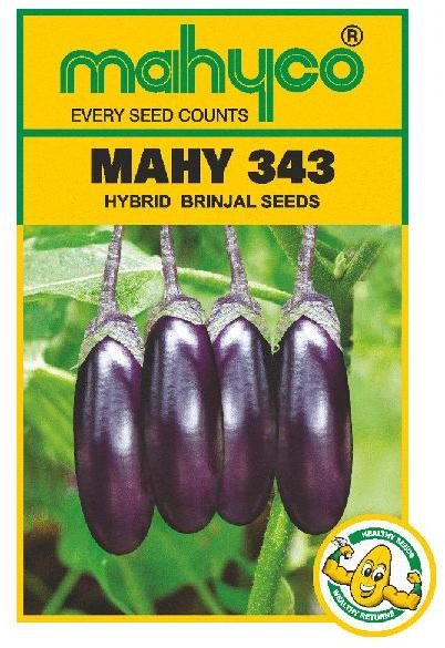 MAHY 343 Hybrid Brinjal Seeds, Color : Pinkish Purple