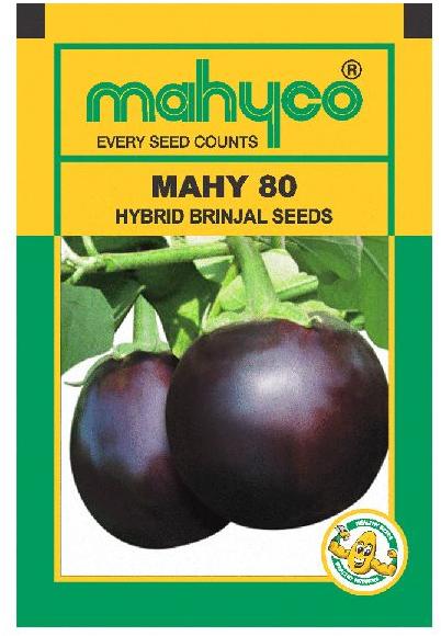 MAHY 80 Hybrid Brinjal Seeds