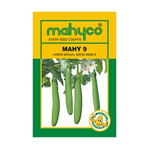MAHY 9 (MEBH 9) Hybrid Brinjal Seeds