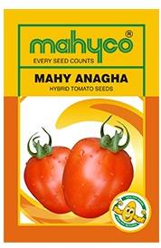 MAHY Anagha Hybrid Tomato Seeds