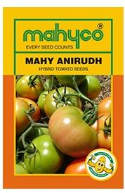 MAHY Anirudh Hybrid Tomato Seeds, Style : Dried
