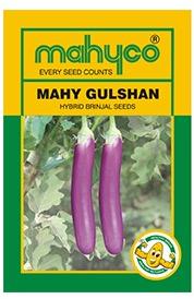 MAHY Gulshan Hybrid Brinjal Seeds, Color : Pink