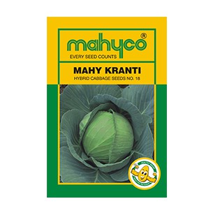 MAHY Kranti Hybrid Cabbage Seeds