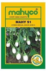 MAHY No. 91 (MHB-91 Hybrid Brinjal Seeds)