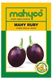 MAHY Ruby Hybrid Brinjal Seeds