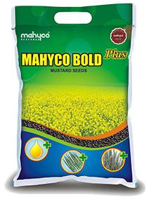 Mahyco Bold Plus Black Mustard Seeds