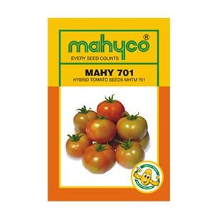 MHTM 701 Hybrid Tomato Seeds, Style : Dried