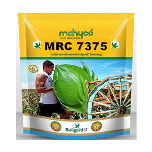 MRC 7375 Hybrid Cotton Seeds