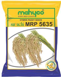 Paddy MRP 5635 Hybrid Paddy Seeds