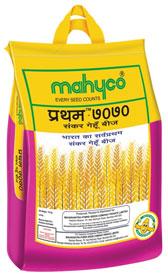 Pratham 7070 Hybrid Mustard Seeds