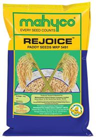 Rejoice (MRP-5491) Hybrid Paddy Seeds, Style : Dried