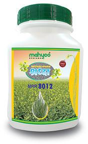 Shraddha MRR 8012 Hybrid Mustard Seeds, Packaging Type : Plastic Bag