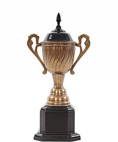 Award Memento Cup