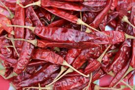 Organic dried red chilli, Shelf Life : 12 Months