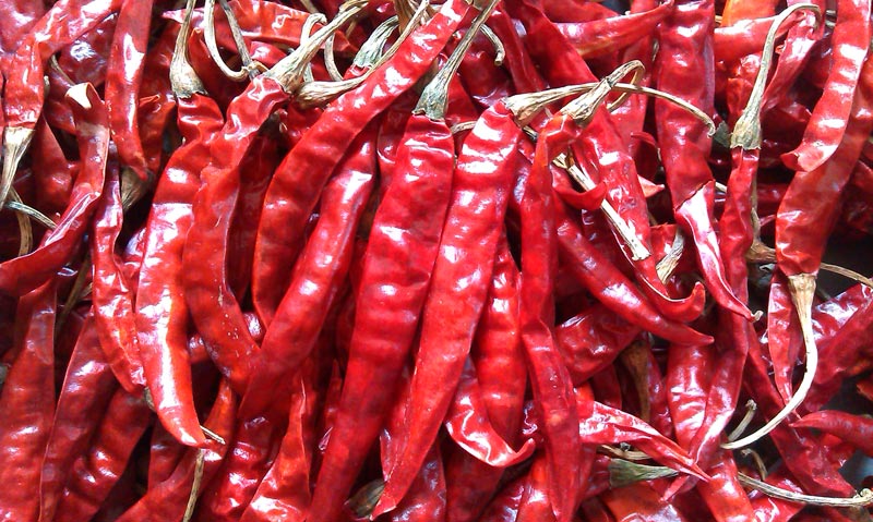 Natural Dried Red Chilli, for Food