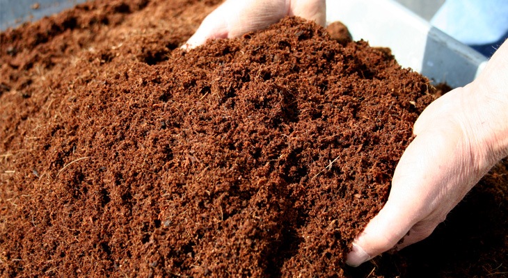 Coco Coir Soil, Packaging Type : PP Bags