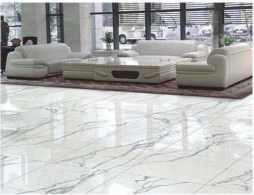 Polished Floor Tiles