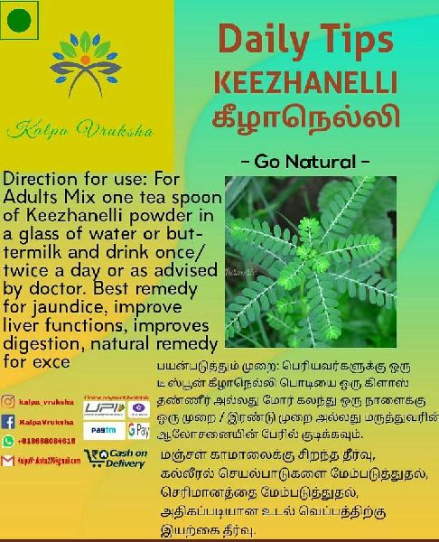 Keezhanelli Powder, Packaging Size : 100gm, 10kg, 15kg, 1kg, 250gm, 500gm, 5kg