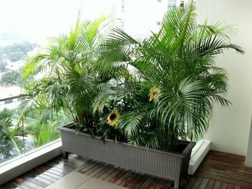 PVC FRP Light Weight Planters