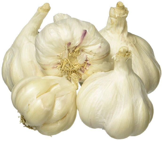 Fresh Organic Garlic, Packaging Size : 50-500 Kg