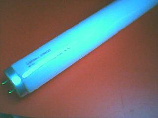 Fluorescent Tube Blue Light