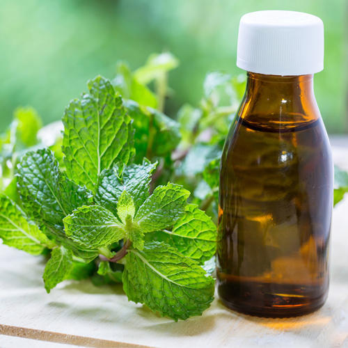 Mentha Pipperita Oil