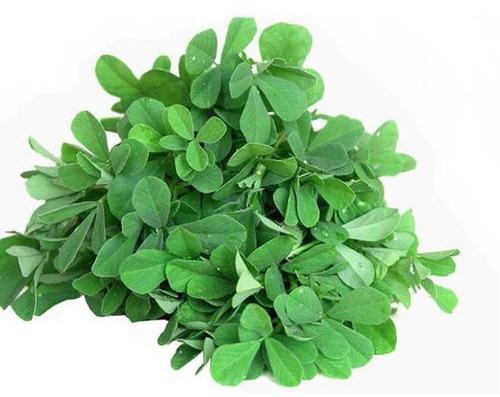 Dark Green Fresh Fenugreek Leaves, for Cooking, Feature : Nice Aroma