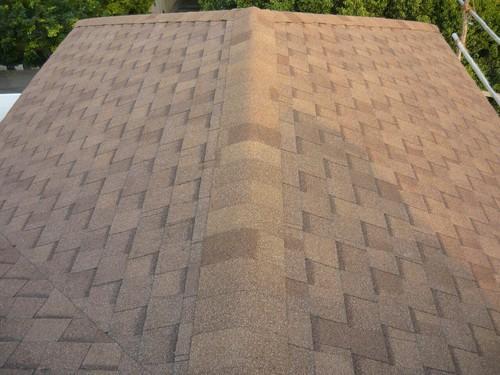 roofing shingles