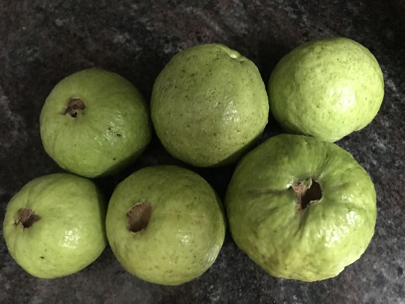 Fresh Guavas