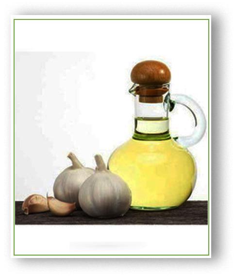 Garlic Oil