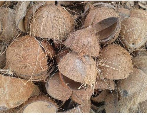 dry coconut shell