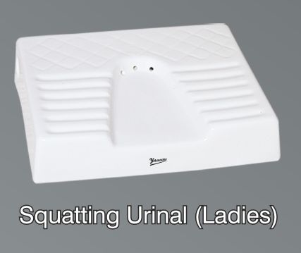 Ladies Squatting Urinal