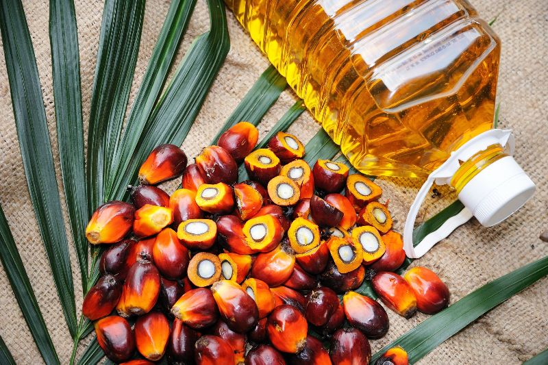 GARV palm oil, Packaging Type : Glass Bottels, Plastic Bottels