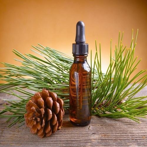 Natural Pine Essential Oil, Packaging Type : Plastic Bottle