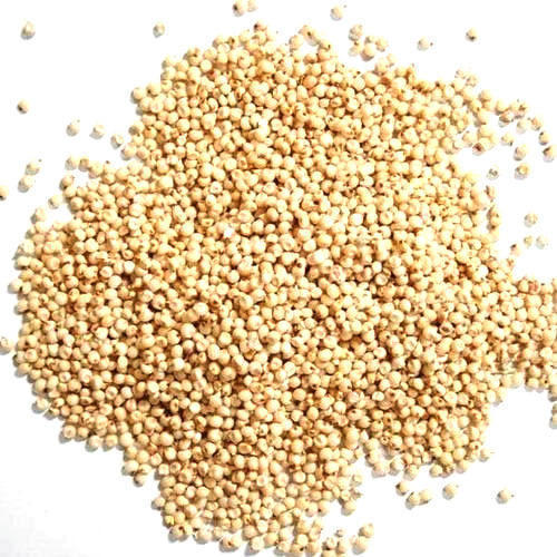 Organic jowar seeds, Packaging Size : 100-500kg